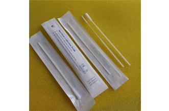 Coronavirus Swab